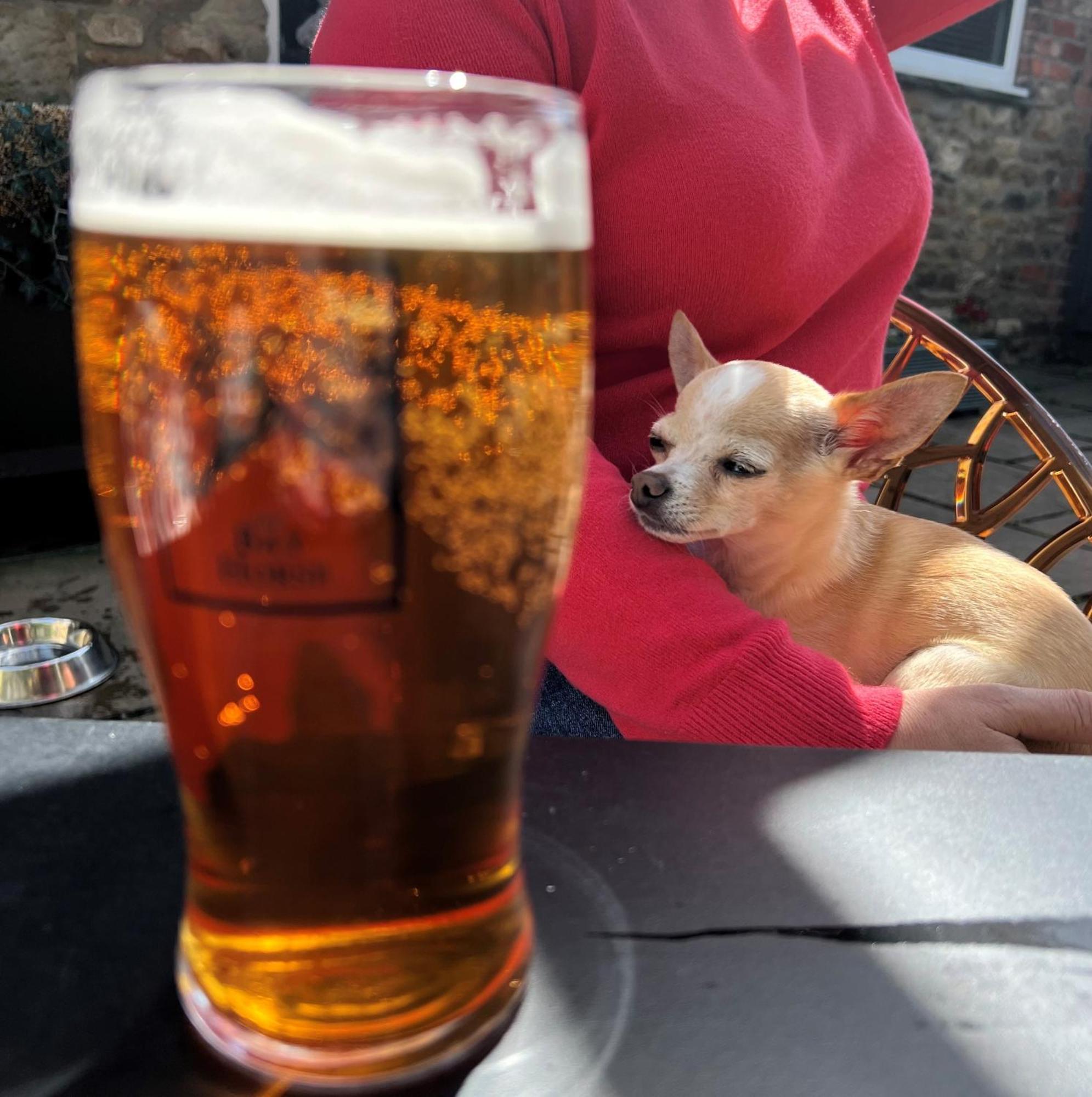 The Bay Horse, Masham Hotel Luaran gambar